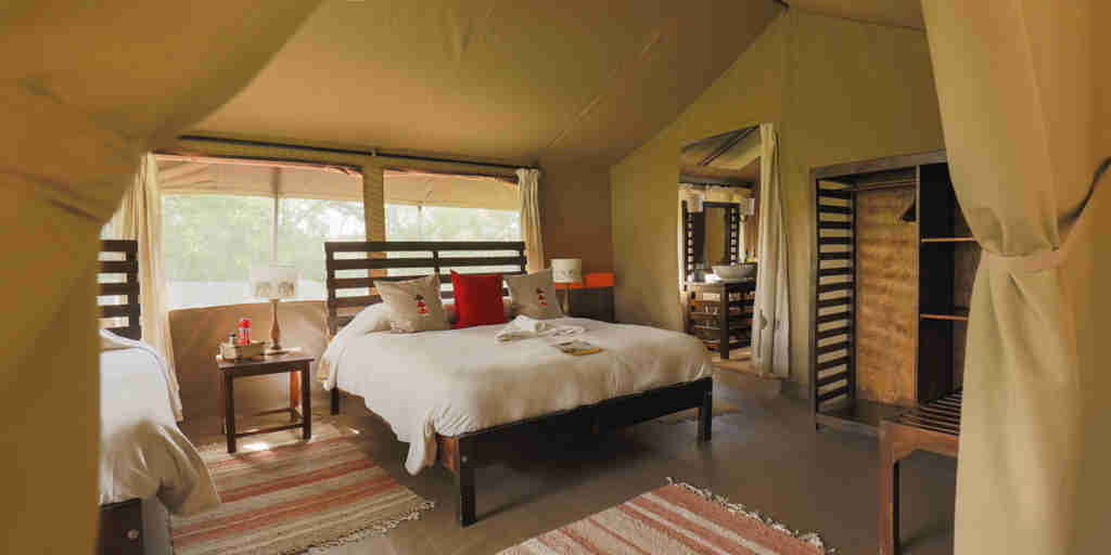 porini mara double bedroom kenya yellow zebra safaris
