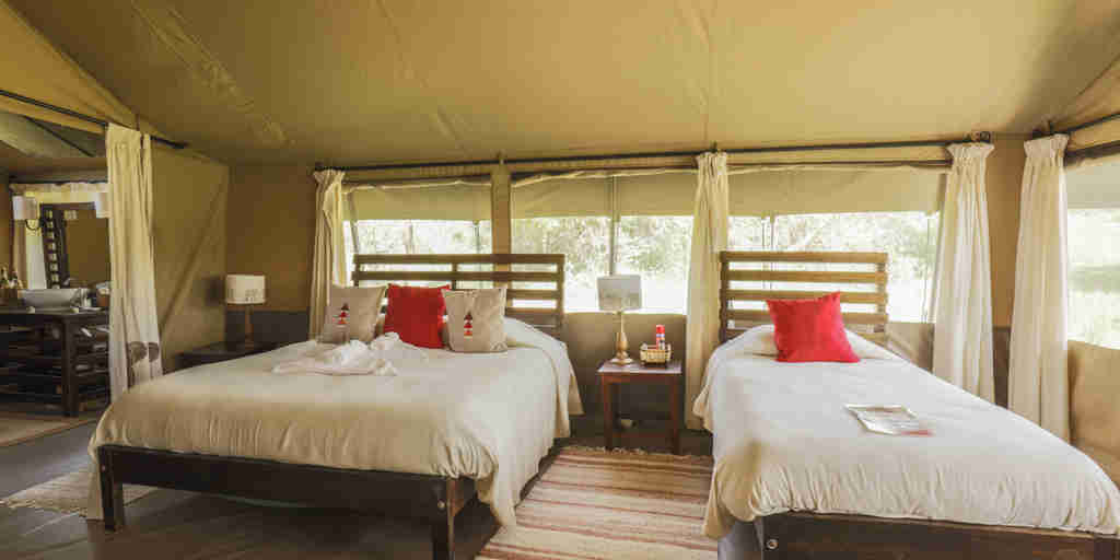 porini mara twin bedroom kenya yellow zebra safaris
