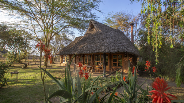 chui lodge kenya outside yellow zebra safaris