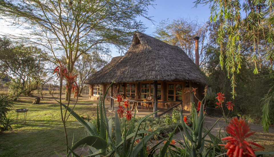 chui lodge kenya outside yellow zebra safaris