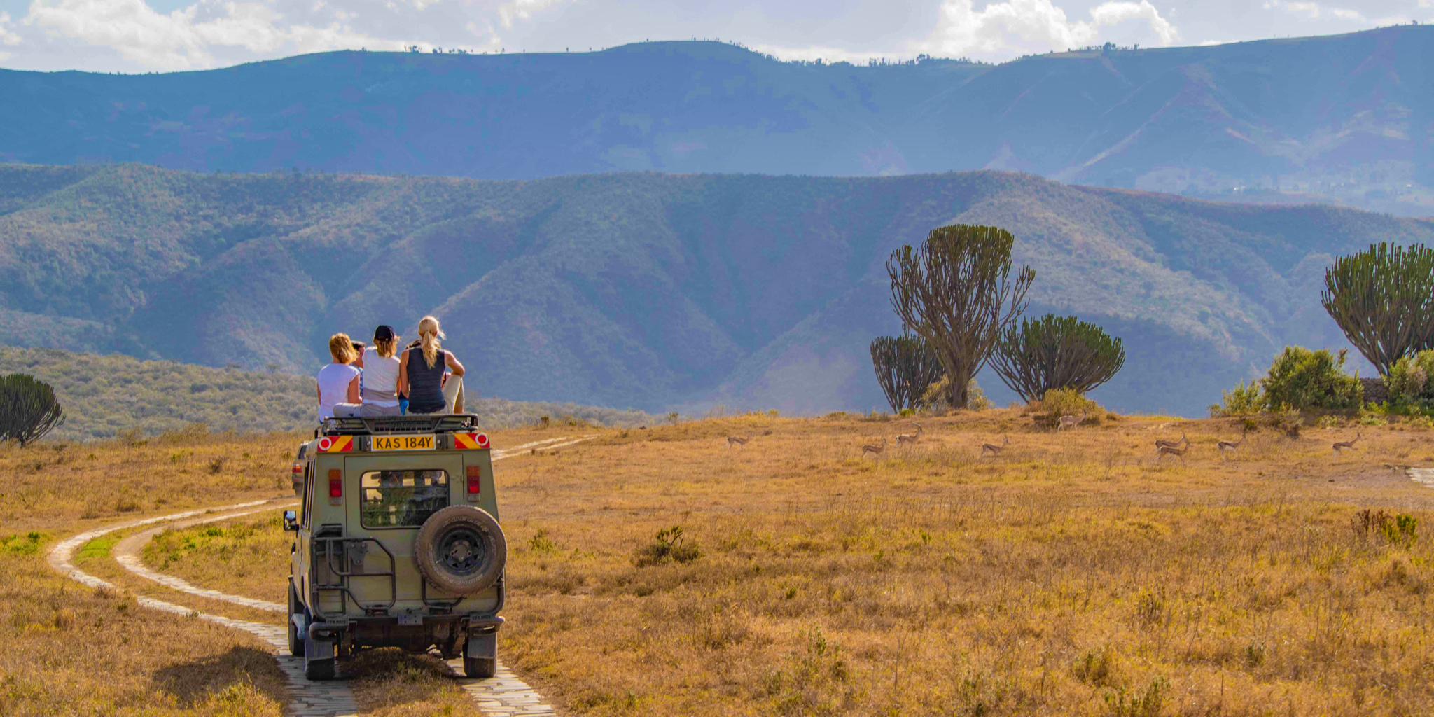 chui lodge game drive kenya yellow zebra safaris
