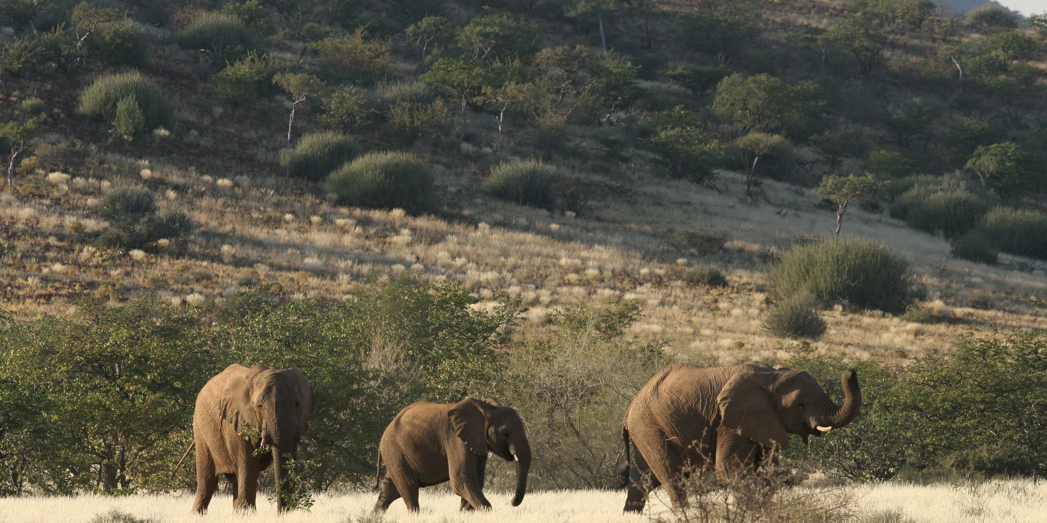 Best time to visit Namibia in April Yellow Zebra Safaris