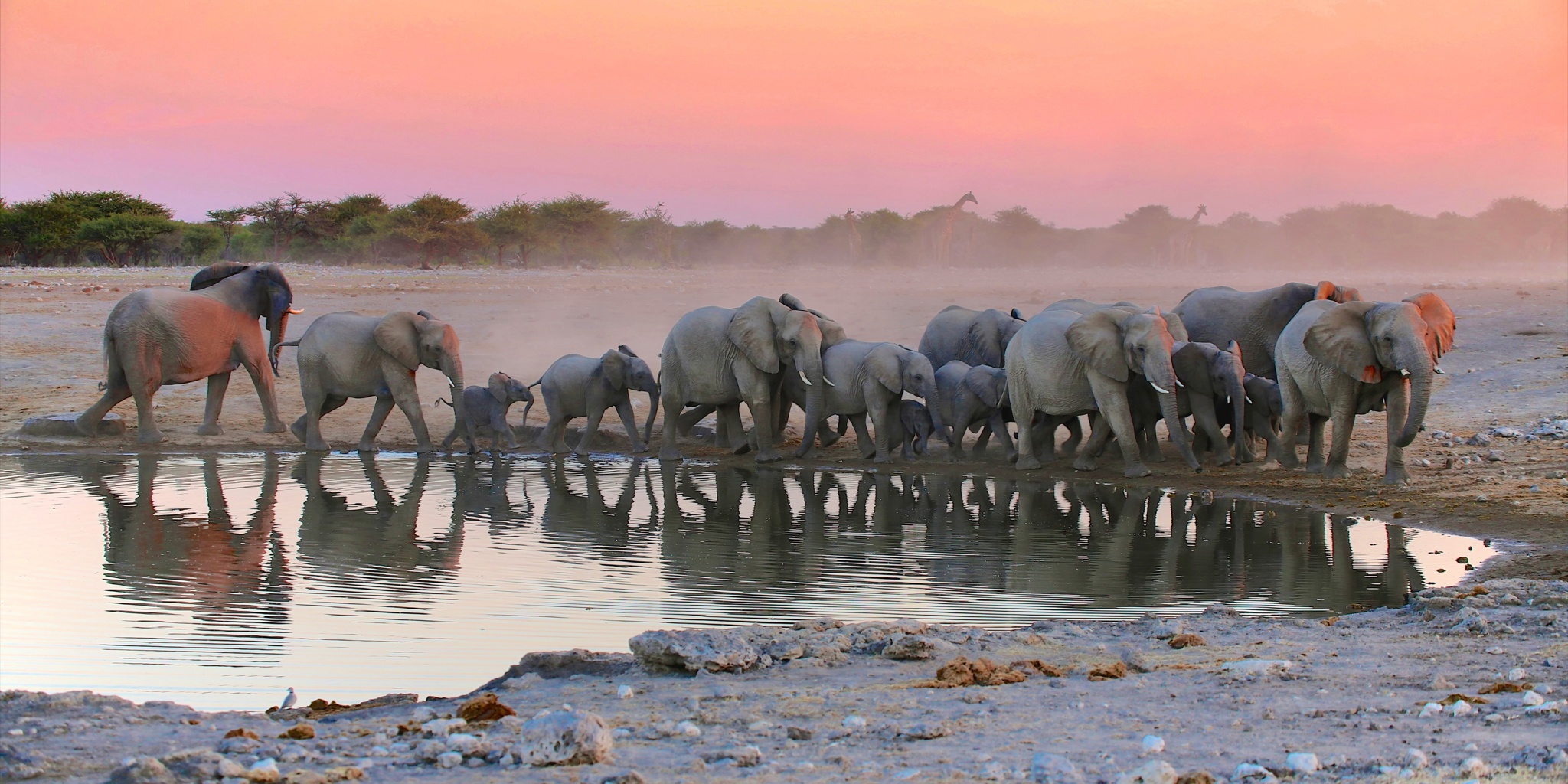 best time to visit namibia for safari