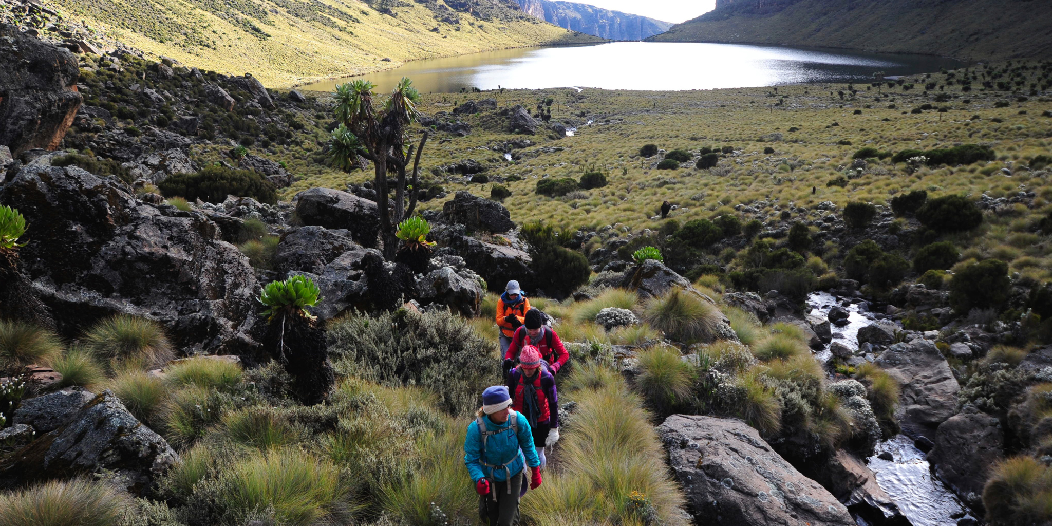 karisia walking safaris mount kenya walking lake yellow zebra safaris