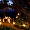gibb's farm night dining tanzania yellow zebra safaris