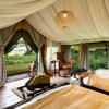 Lemala Ngorongoro Tented Camp | Tanzania Lodges | Yellow Zebra Safaris