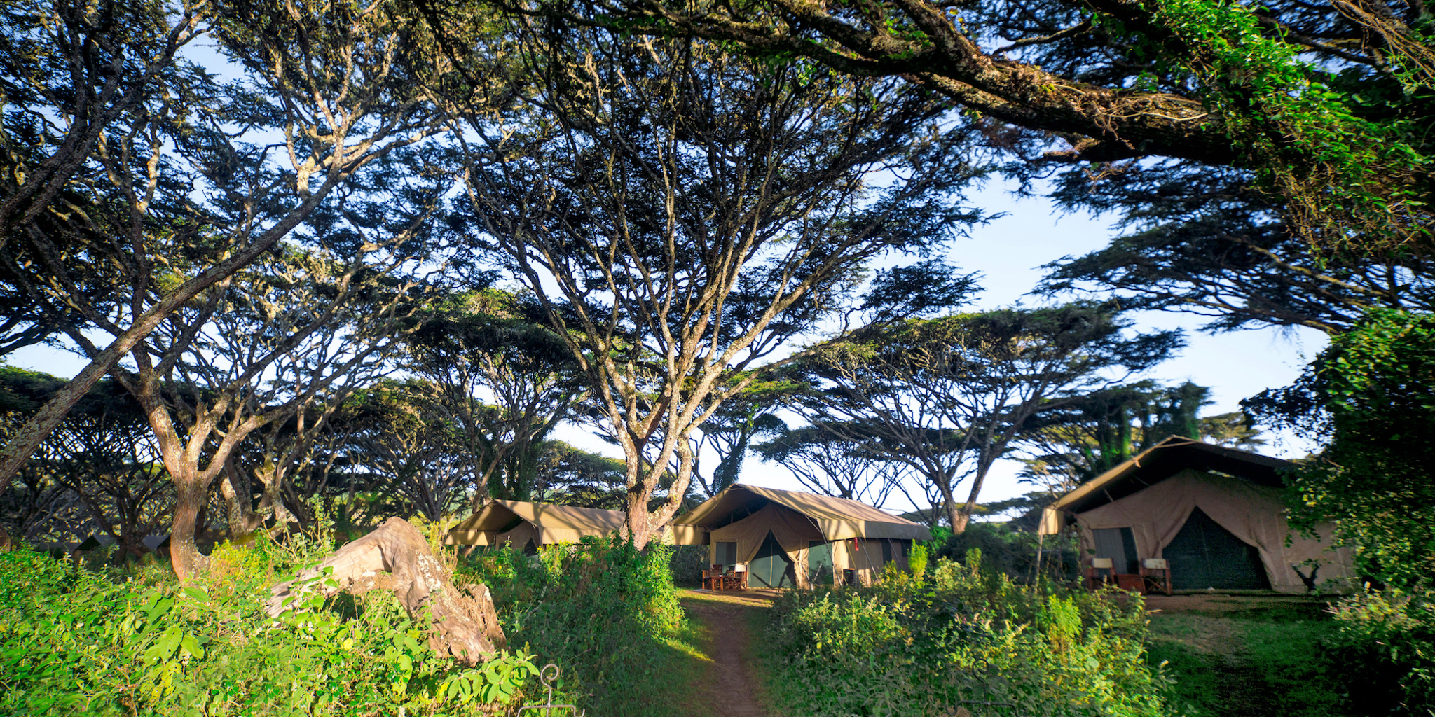 Lemala Ngorongoro Tented Camp Tanzania Lodges Yellow Zebra Safaris
