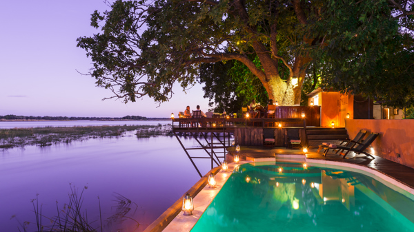 royal zambezi pool area zambia yellow zebra safaris