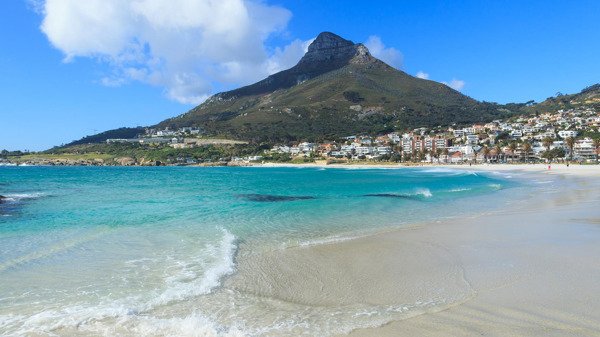 camps bay beach cape town south africa yellow zebra safaris