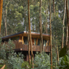 one and only gorillas nest lodge exterior view rwanda yellow zebra safaris