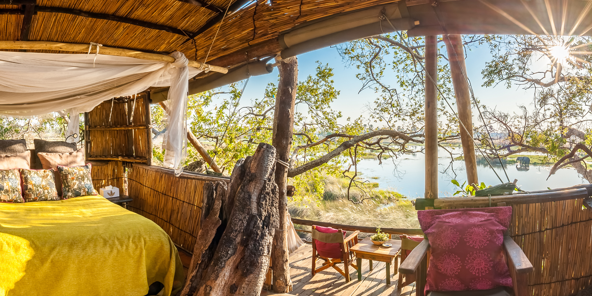 delta camp double botswana yellow zebra safaris