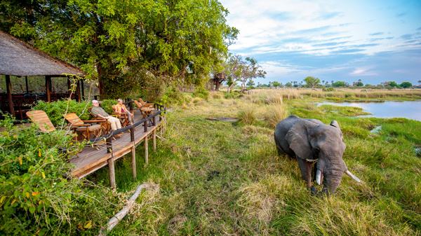 delta camp game view botswana yellow zebra safaris
