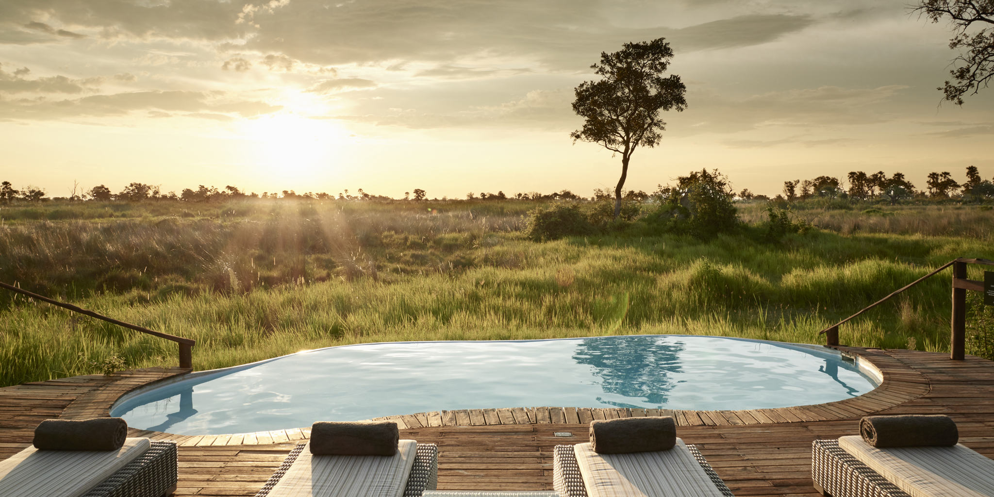 sanctuary baines camp pool area botswana yellow zebra safaris