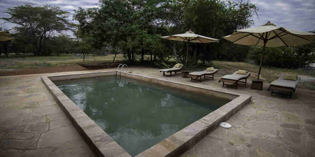 impala camp pool area tanzania yellow zebra safaris
