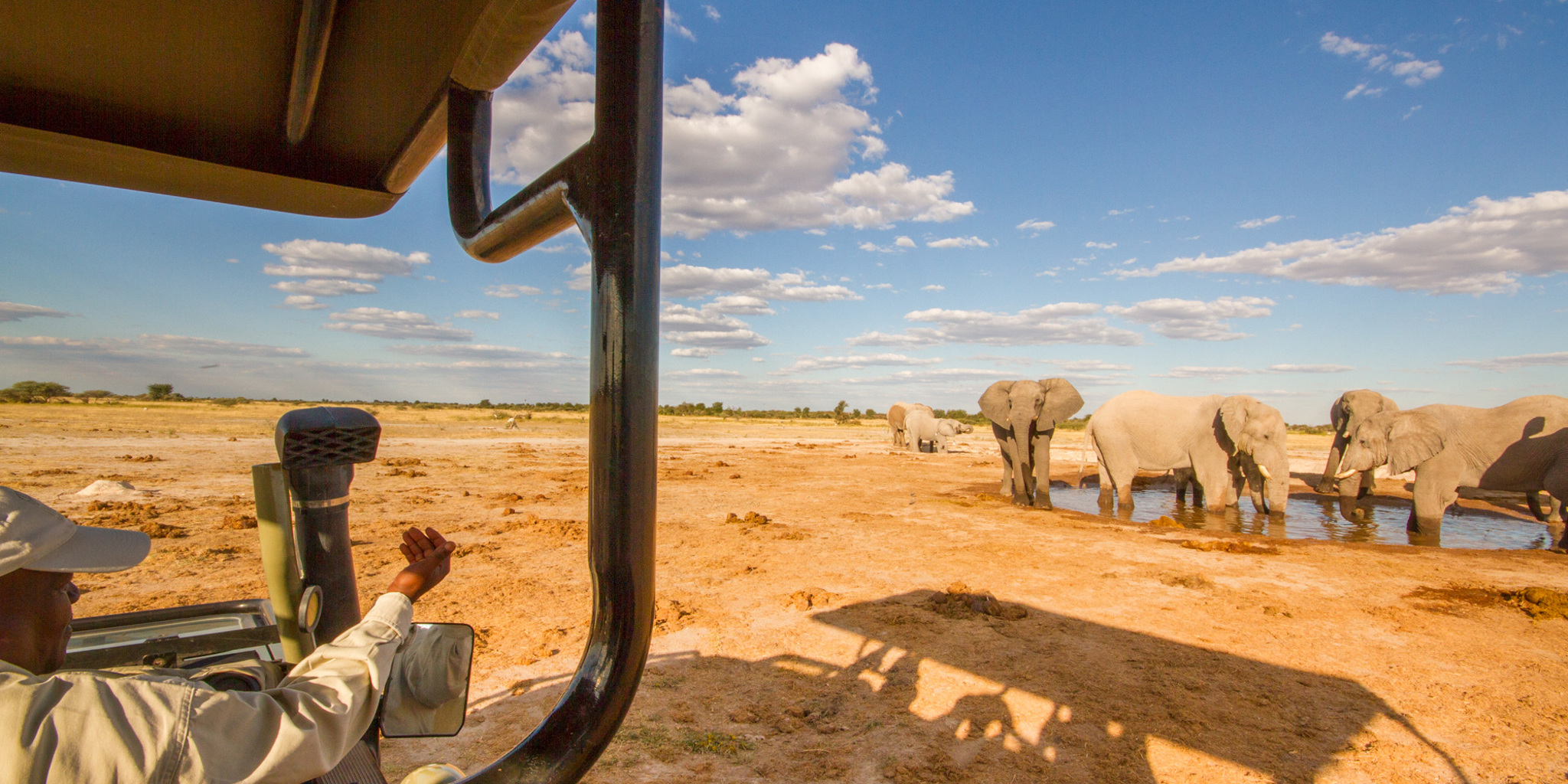 nxai pan game drive botswana yellow zebra safaris