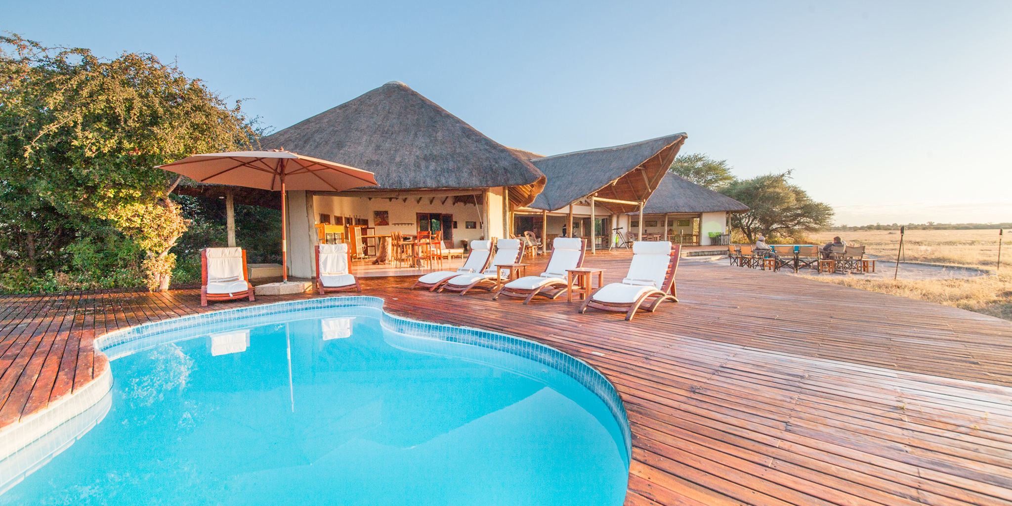 nxai pan pool area botswana yellow zebra safaris