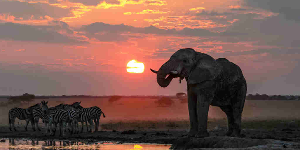 nxai pan sunset botswana yellow zebra safaris