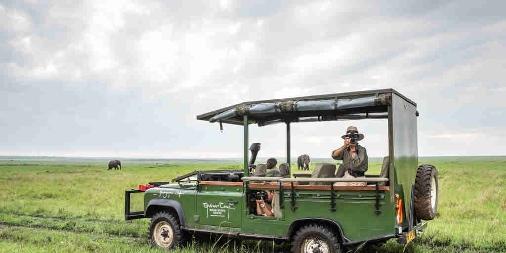 governors camp game drive kenya yellow zebra safaris