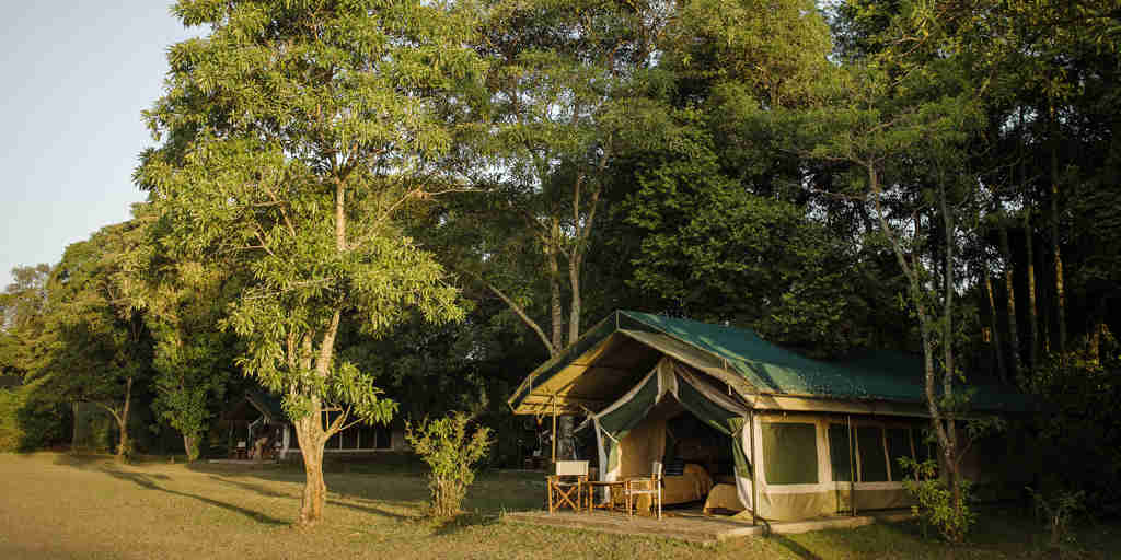 governors camp tent exterior kenya yellow zebra safaris