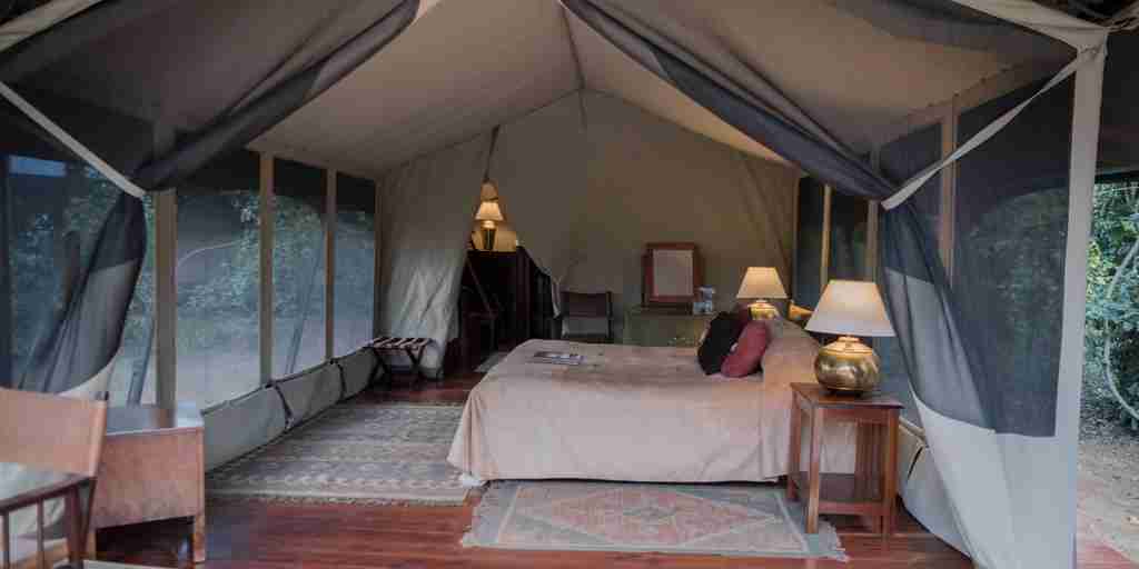 governors private camp bedroom area kenya yellow zebra safaris