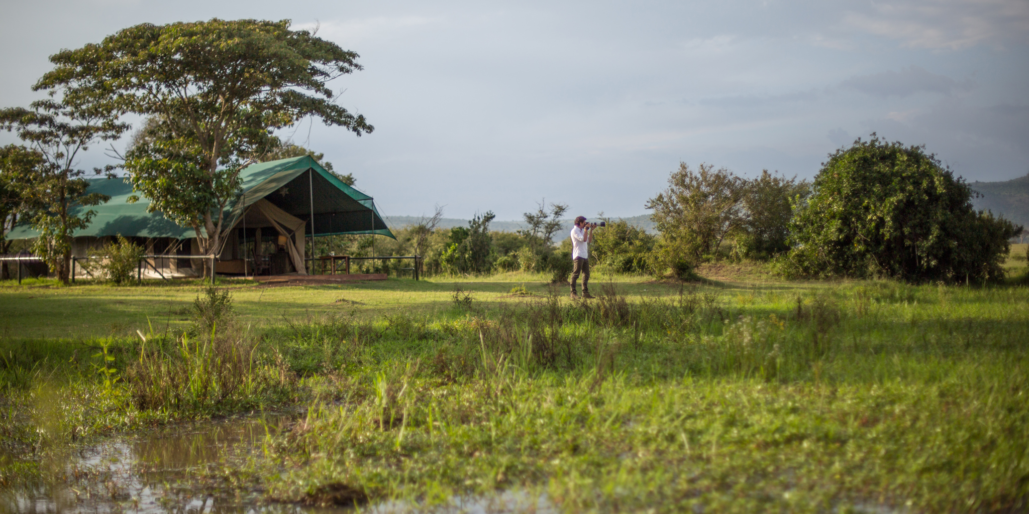 little governors camp exterior kenya yellow zebra safaris