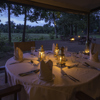 Little Governors Camp Maasai Mara Luxury Camp Yellow Zebra Safaris