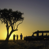 little governors sundowners kenya yellow zebra safaris