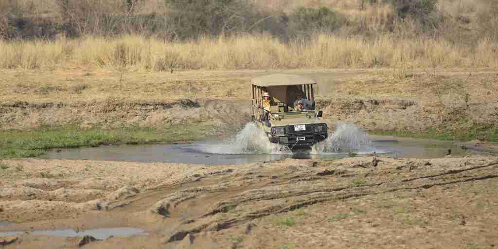 ikuka safari camp game drive tanzania yellow zebra safaris