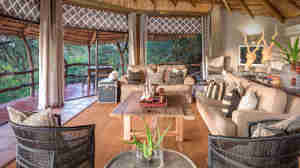 mashatu lodge lounge botswana yellow zebra safaris