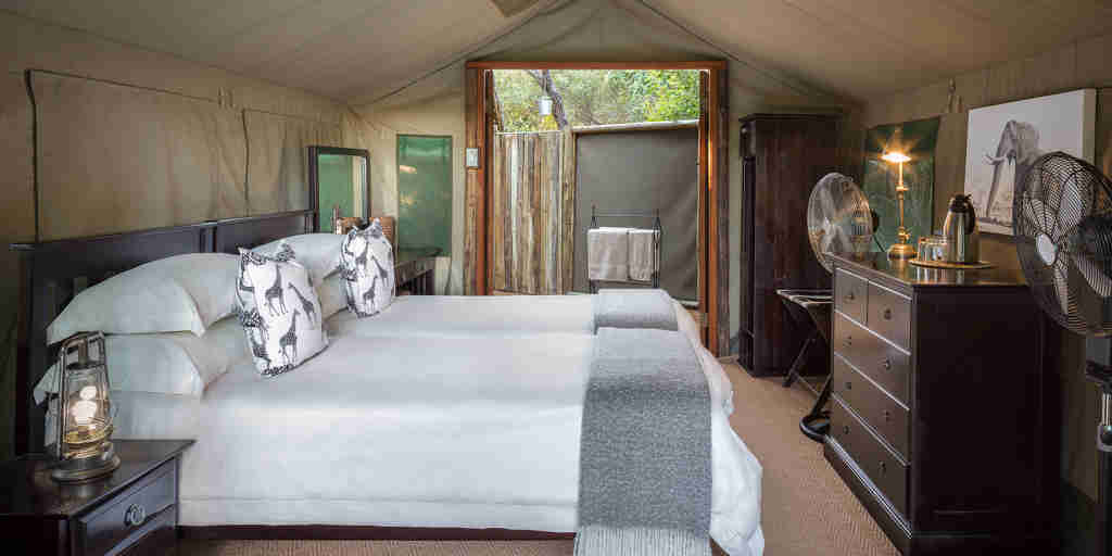mashatu tent camp double room botswana yellow zebra safaris