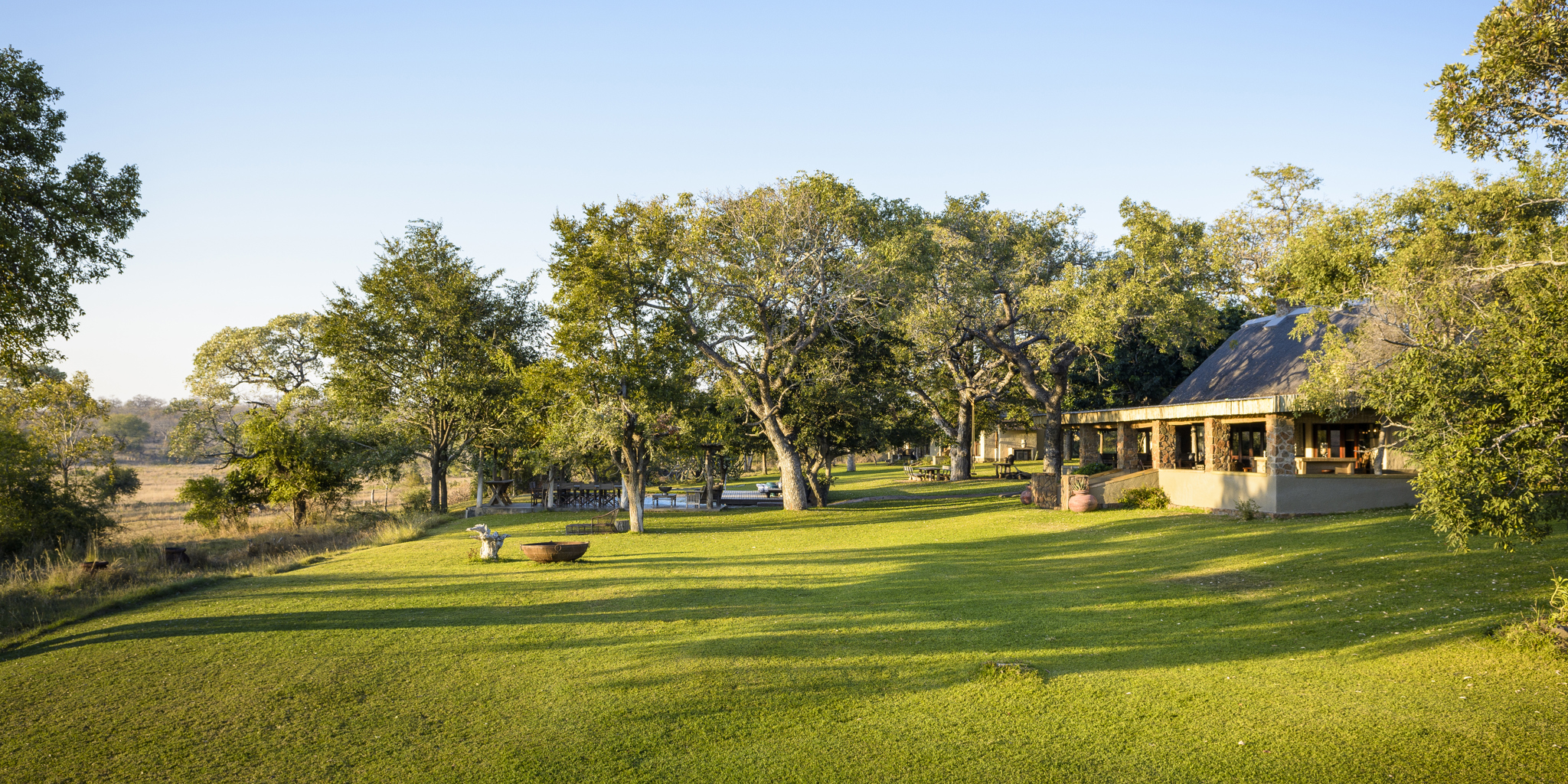 singita castleton lawn area south africa yellow zebra safaris