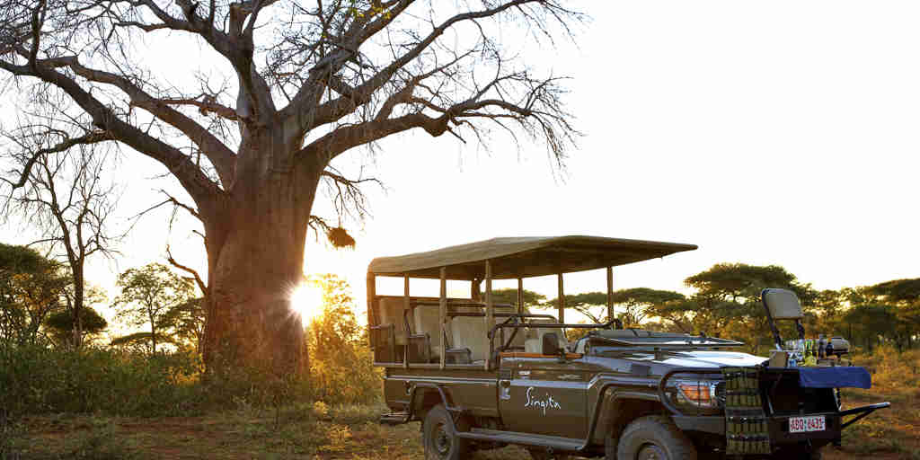 singita pamushana game drive zimbabwe yellow zebra safaris