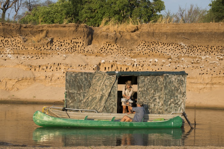 bird hide shenton safaris zambia kaingo yellow zebra