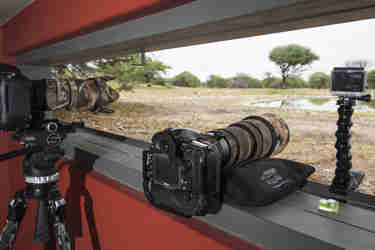 photography hide anderssons at ongave yellow zebra safaris