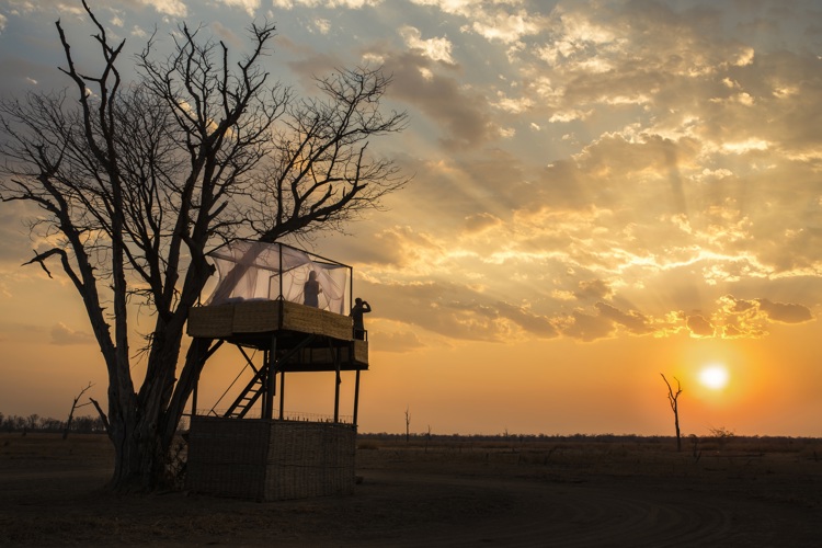 star bed hide shenton safaris zambia mwamba yellow zebra