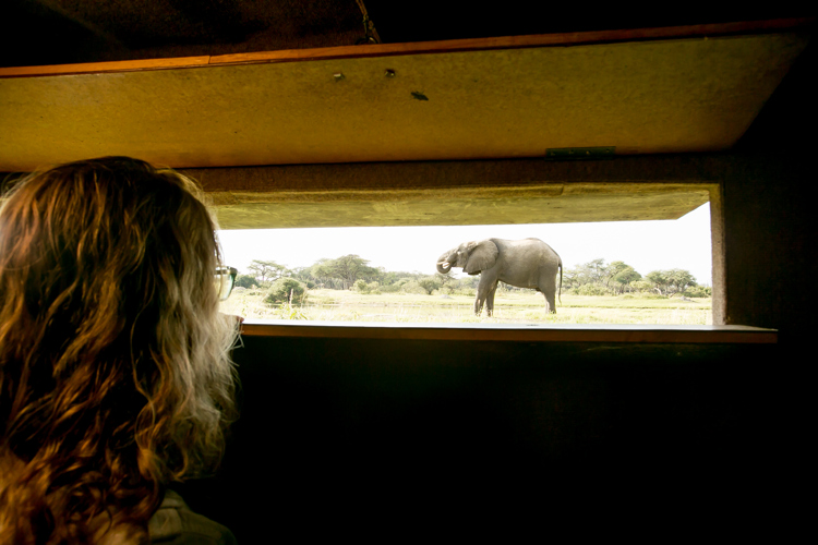 the hide hwange zimbabwe view