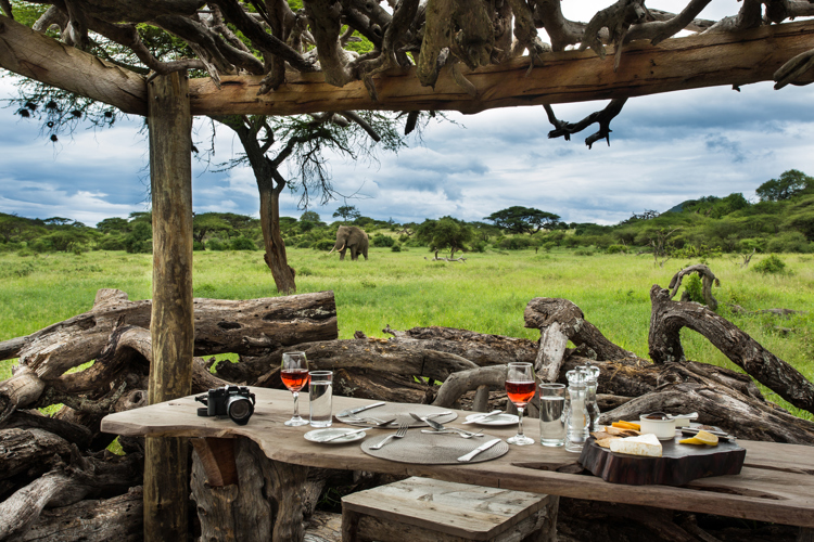 view ol donyo hide kenya yellow zebra safaris
