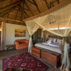 Camp Hwange Luxury Camps in Zimbabwe Yellow Zebra Safaris