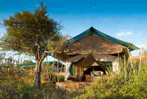 laikipia wilderness camp tent entrance kenya yellow zebra safaris