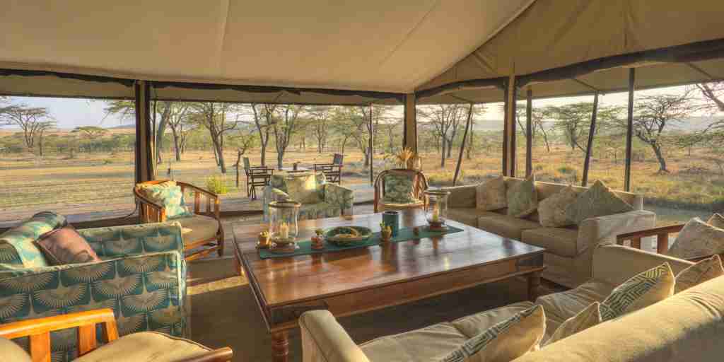 kicheche bush camp lounge area kenya yellow zebra safaris