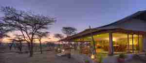 kicheche bush camp tent exterior kenya yellow zebra safaris