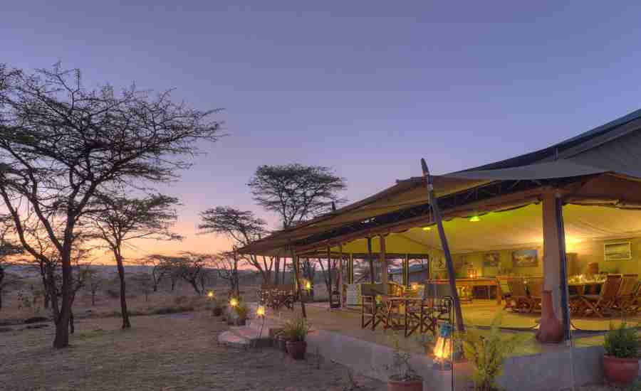 kicheche bush camp tent exterior kenya yellow zebra safaris