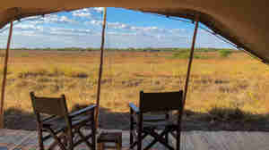 ntemwa busanga camp deck view zambia yellow zebra safaris