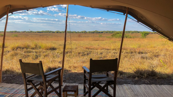 ntemwa busanga camp deck view zambia yellow zebra safaris