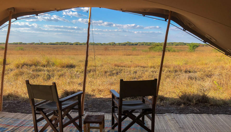 ntemwa busanga camp deck view zambia yellow zebra safaris