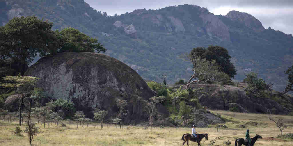 enasoit horse riding kenya yellow zebra safaris