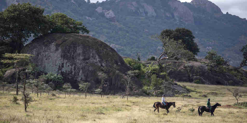 enasoit horse riding kenya yellow zebra safaris