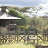 enasoit camp kenya yellow zebra safaris