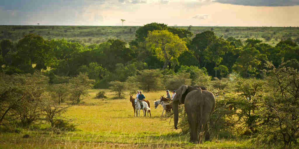 offbeat riding safaris elephant kenya yellow zebra safaris