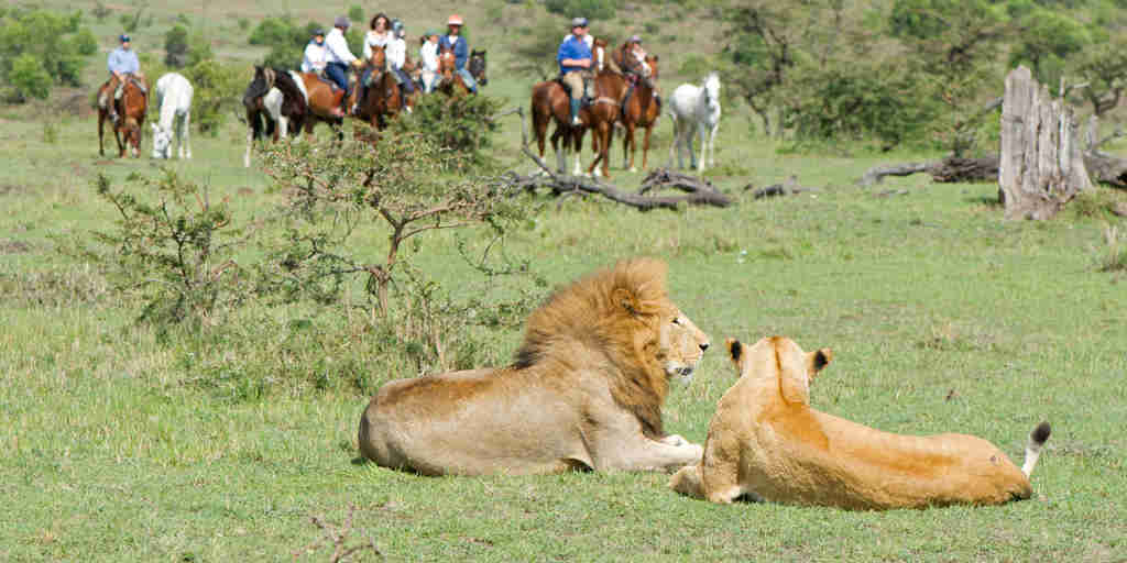 offbeat riding safaris lions kenya yellow zebra safaris